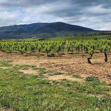 Jolie Maison Dans Les Corbieres * Tournissan